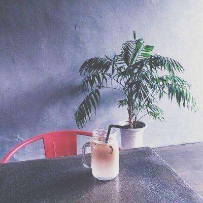 bob·体育综合app下载手机版